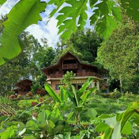 Bukit Lawang - Batu Kapal Rimba House, hotel in Bukit Lawang
