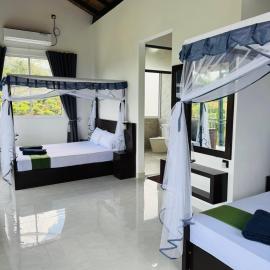 Rainforest mountain resort
