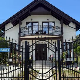 Vila MaeStar, hótel í Curtea de Argeş