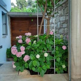 Villa St George Stroumpi