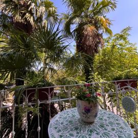 Le Palme Di Como, hotel in Como