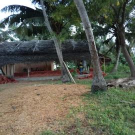 Paddy Villa
