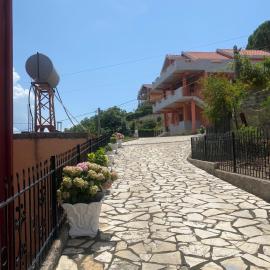 Ankor view