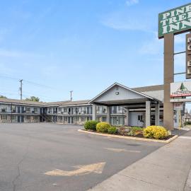 Pine Tree inn