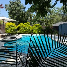 The Cape & Country Pool House, hotel i Spring