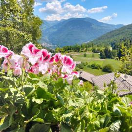 Maso dell'Alba - Ponciach - Altavalle