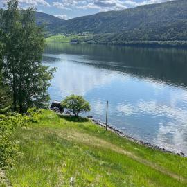 Viesnīca Vetleberget - simple living pilsētā Vogo
