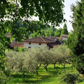 Casa Cotogna Vacation Apartment, hotelli kohteessa Liedolo