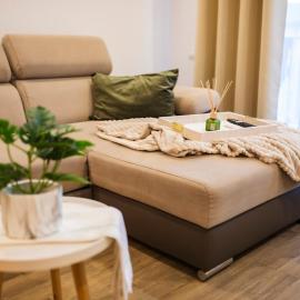 Seyra Olive Studio
