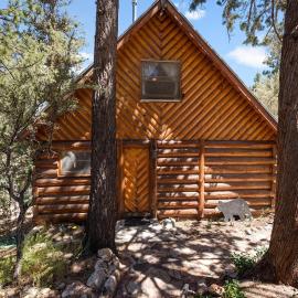 Authentic log cabin, mountain views, dog friendly, hotel a Big Bear City