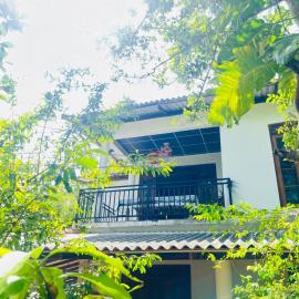 Sigiriya Arecanut Garden