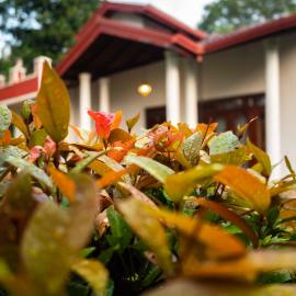 Eco Serenity Kandy, hotel in Kandy