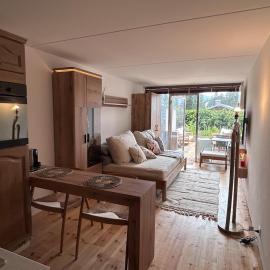 Studio Alpine Haven with Pool and Terrace Hotel L'Étrier Access