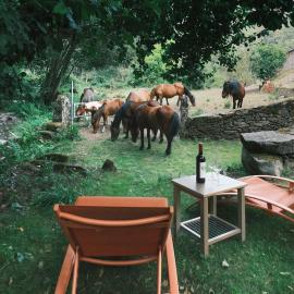 Casa Grande de Covas-Rural Boutique & Agroturismo en la Ribeira Sacra, hotel a Taboada