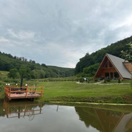 A pe lac, hotel in Boiu