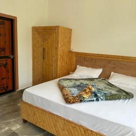 Stargazer's homestay balh village