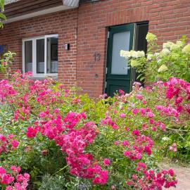 Lüttdeel, hotel em Gelting