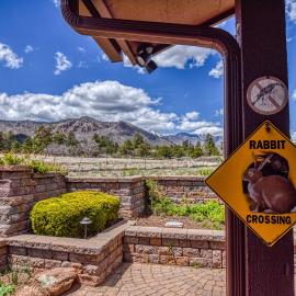 BunnyLand Lodge Panoramic Mt. Views Fantastic Backyard Patio Scenic Location in Flagstaff