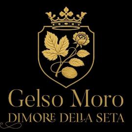 Gelso Moro Fashionable Stay in the Old Garden, Hotel in Lucca