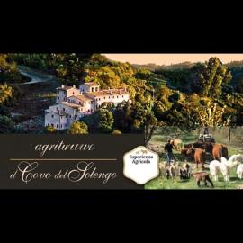 Agriturismo Il Covo del Solengo natura animali a due passi da Assisi