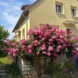 L'Authentique Jurassien, hotelli kohteessa Champagnole