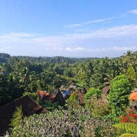 Kebun Villa, Belimbing, Bali, hotel en Tabanan