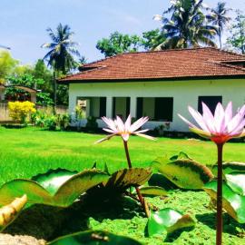 Villa77 Benthota