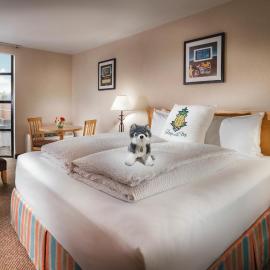 Staypineapple, University Inn, University District Seattle, hotel i Seattle