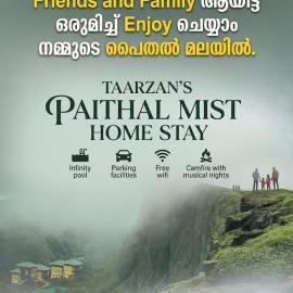 Taarzans Paithal Mist, Hotel in Paithalmala