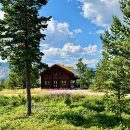 Koslig helårs hytte, hotel in Heimdal