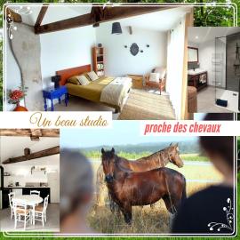 Studio du domaine équestre B & G