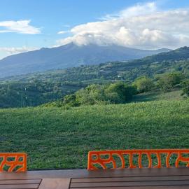 Villa Floru