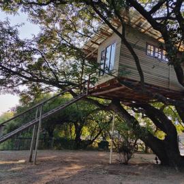 Roodepoort में, होटल Tree house Living