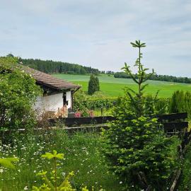 Casa Liss´i, hotel em Lissendorf