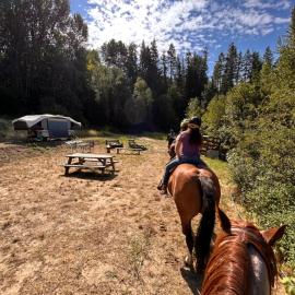 Privet creek side glamping, hotel in Chase