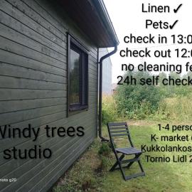 Windy trees studio Tornio, hotel en Aapajoki
