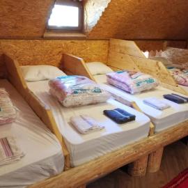 Pinetrees Lodge Hostel