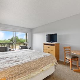 Pet-friendly King Bed Studio with Kitchenette - Pool and Hot Tub