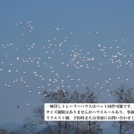 Cafe & Stay Flyway, hotel u gradu Ogata