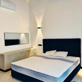 ORYZA paddy side villa