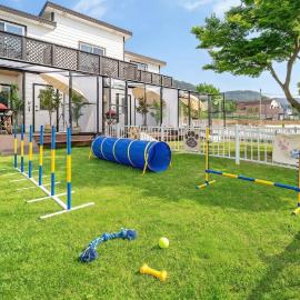 Yeosu Dangdangi Dog Family Pension Gold