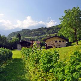 Quader Nidi nel Verde Authentic Farm Stay in the Italian Alps, hotel v destinácii Bienno