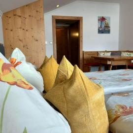Appartement Vogelnest mit Dachsteinblick & Pool