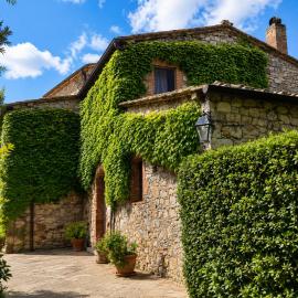 Borgo Livernano