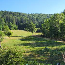 Blick ins Grüne, hotel v destinaci Murrhardt