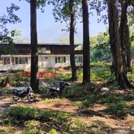 Home stay in middle of forest, hotel a Patwa Dunga
