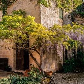 La Chapelle Aux Roses