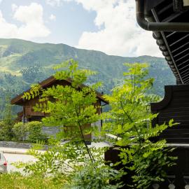 Jardin d'hiver A #1Bis - 5 guests - Ski in - Ski out, Hotel in Mussillon
