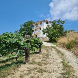 Agriturismo casale Amendola