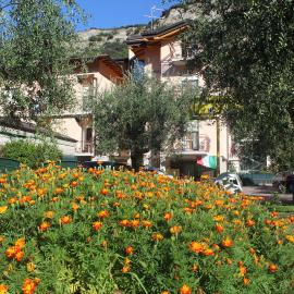 Villa Marina, hotel in Nago-Torbole